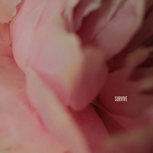 骏浩的潜入任务2 免费
